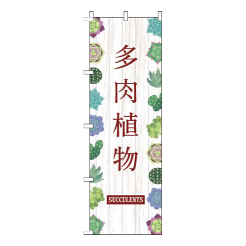多肉植物白木目茶色