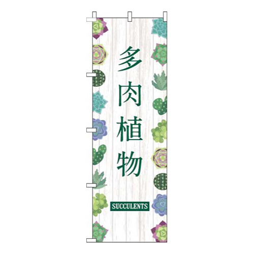 多肉植物白木目緑