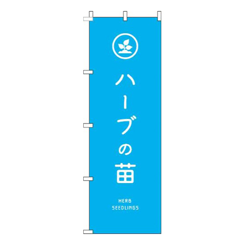 ハーブの苗水色