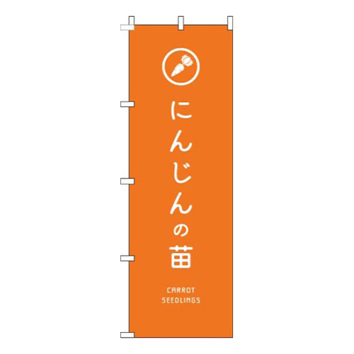 にんじんの苗オレンジ