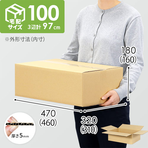 【宅配100サイズ】小箱ぴったり梱包用ダンボール箱［SBOX-02・6箱］（460×310×160mm）5mm A/F C120×C120