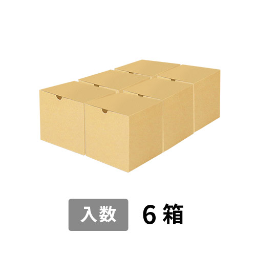 【宅配100サイズ】小箱ぴったり梱包用ダンボール箱［SBOX-02・6箱］（460×310×160mm）5mm A/F C120×C120