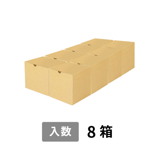 【宅配120サイズ】小箱ぴったり梱包用ダンボール箱［SBOX-02・8箱］（610×310×160mm）3mm B/F C5×C5