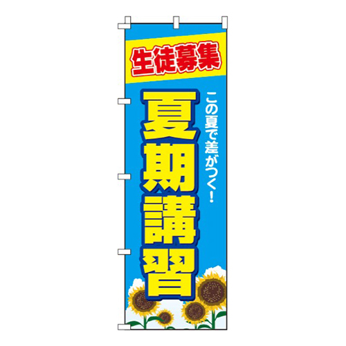夏期講習