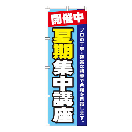 夏期集中講座