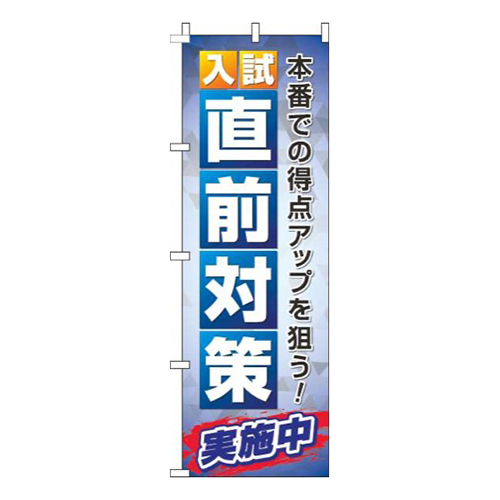 入試直前対策青