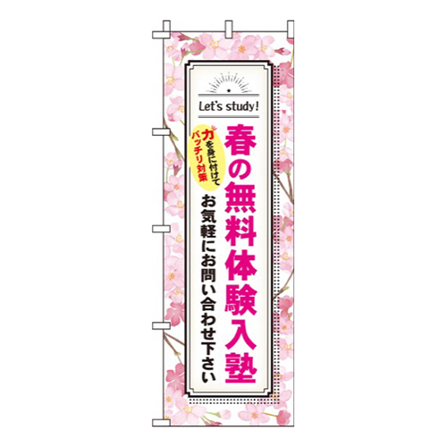 春の無料体験入塾桜