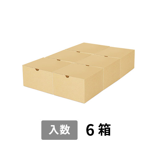 【宅配120サイズ】小箱ぴったり梱包用ダンボール箱［SBOX-03・6箱］（514×346×119mm）8mm W/F C5×C5