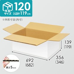 【宅配120サイズ】小箱ぴったり梱包用ダンボール箱［SBOX-03・8箱］（682×346×119mm）5mm A/F 白C5×C5