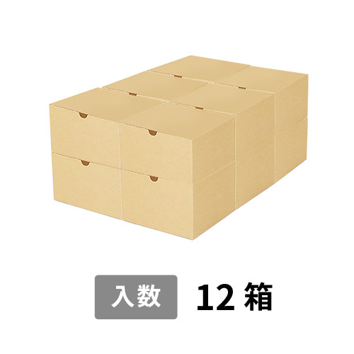 【宅配120サイズ】小箱ぴったり梱包用ダンボール箱［SBOX-03・12箱］（514×346×228mm）3mm B/F 白C5×C5