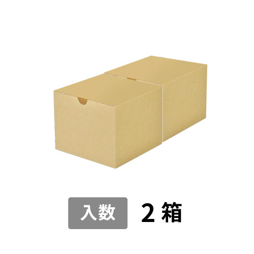 【宅配60サイズ】小箱ぴったり梱包用ダンボール箱［SBOX-04・2箱］（260×135×110mm）5mm A/F C120×C120