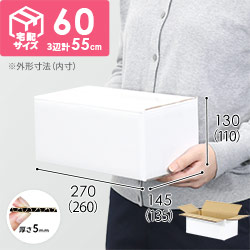 【宅配60サイズ】小箱ぴったり梱包用ダンボール箱［SBOX-04・2箱］（260×135×110mm）5mm A/F 白C5×C120