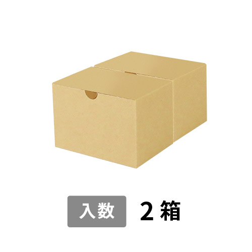 【宅配60サイズ】小箱ぴったり梱包用ダンボール箱［SBOX-06・2箱］（190×140×100mm）8mm W/F C5×C5