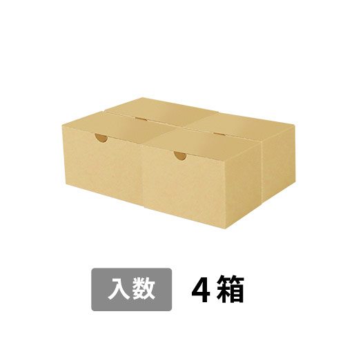 【宅配60サイズ】小箱ぴったり梱包用ダンボール箱［SBOX-06・4箱］（270×190×100mm）3mm B/F C5×C5