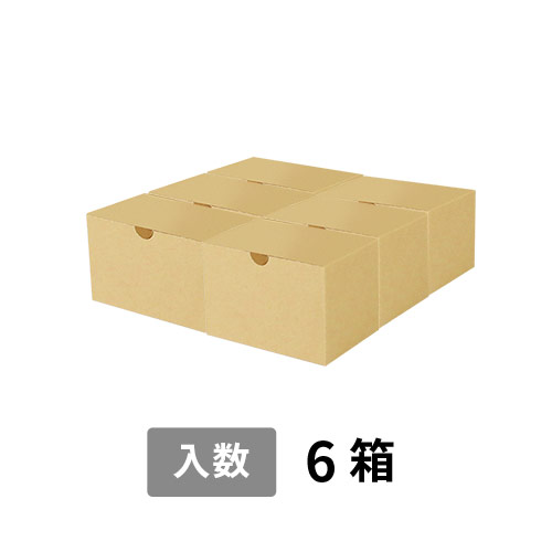 【宅配80サイズ】小箱ぴったり梱包用ダンボール箱［SBOX-06・6箱］（280×270×100mm）3mm B/F C5×C5