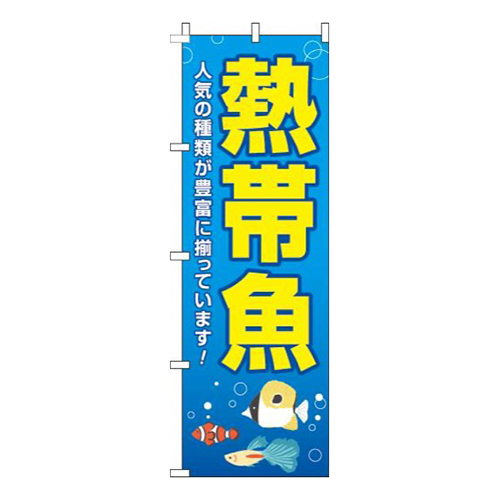 熱帯魚水色