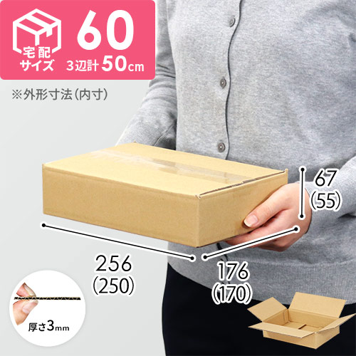 【宅配60サイズ】小箱ぴったり梱包用ダンボール箱［SBOX-08・2箱］（250×170×55mm）3mm B/F C120×C120