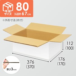 宅配80サイズ】（370×170×100mm）3mm B/F C120×C120 | ダンボール