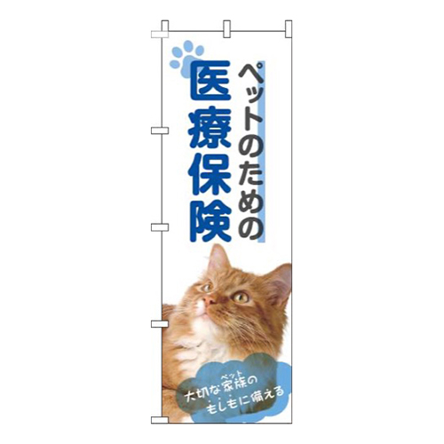 ペットのための医療保険猫青