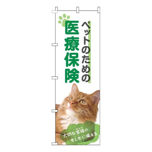 ペットのための医療保険猫黄緑