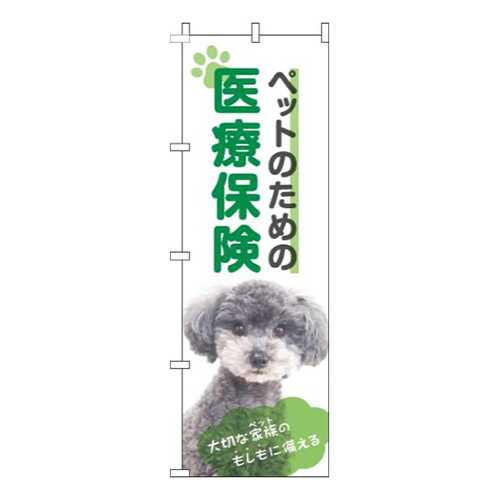 ペットのための医療保険犬黄緑