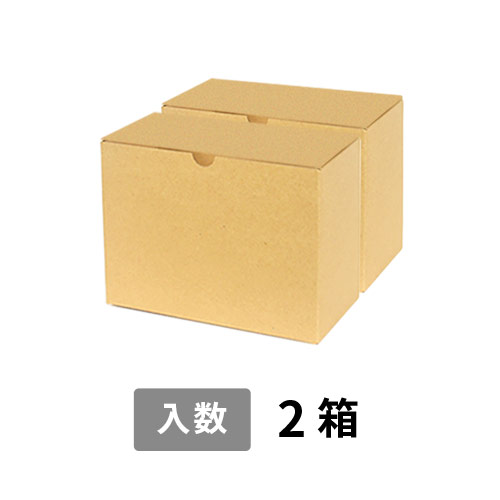 【宅配60サイズ】小箱ぴったり梱包用ダンボール箱［WE-44・2箱］（208×206×152mm）3mm B/F C5×C5