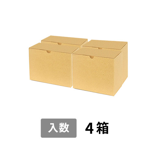【宅配80サイズ】小箱ぴったり梱包用ダンボール箱［WE-44・4箱］（406×206×152mm）3mm B/F 白C5×C5