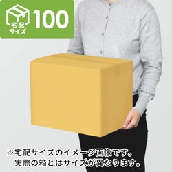 【宅配100サイズ】小箱ぴったり梱包用ダンボール箱［WE-44・6箱］（406×304×152mm）3mm B/F C5×C5