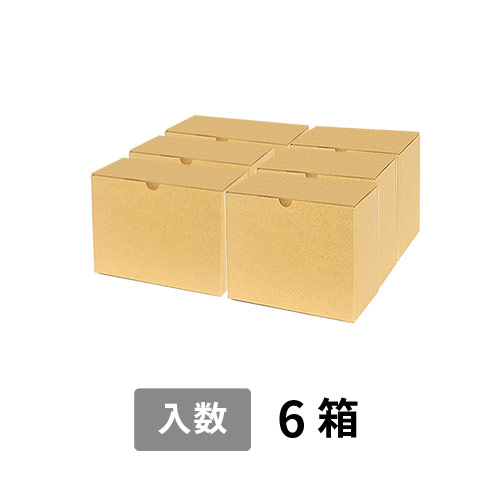 【宅配100サイズ】小箱ぴったり梱包用ダンボール箱［WE-44・6箱］（406×304×152mm）8mm W/F C5×C5