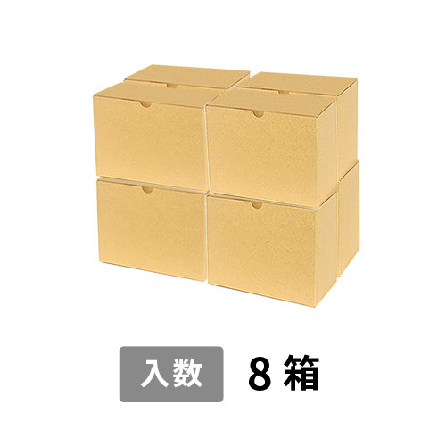 【宅配100サイズ】小箱ぴったり梱包用ダンボール箱［WE-44・8箱］（406×206×294mm）3mm B/F C5×C5