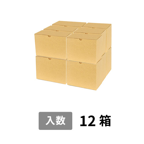 【宅配120サイズ】小箱ぴったり梱包用ダンボール箱［WE-44・12箱］（406×304×294mm）5mm A/F C120×C120