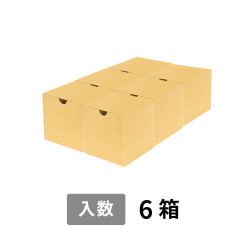 【宅配80サイズ】小箱ぴったり梱包用ダンボール箱［JE-31・6箱］（319×218×112mm）3mm B/F C5×C5