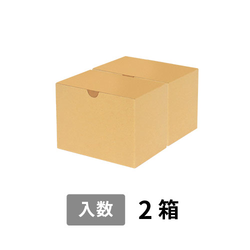 【宅配60サイズ】小箱ぴったり梱包用ダンボール箱［JE-34・2箱］（196×154×112mm）3mm B/F C120×C120