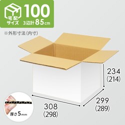 【宅配100サイズ】小箱ぴったり梱包用ダンボール箱［JE-34・12箱］（298×289×214mm）5mm A/F 白C5×C5