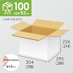 【宅配100サイズ】小箱ぴったり梱包用ダンボール箱［JE-34・12箱］（298×289×214mm）3mm B/F 白C5×C5