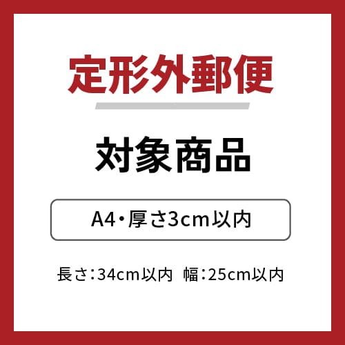 【全面印刷・フルカラー・片面】N式ケース 茶 内寸297×210×20mm