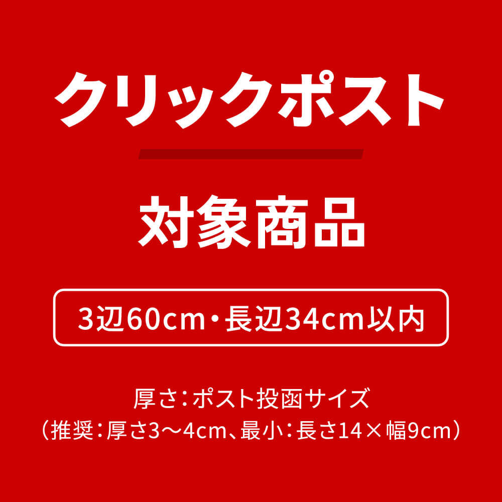 【全面印刷・フルカラー・両面】テープレスケース 白 内寸303×221×19mm