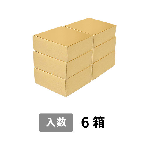 【宅配100サイズ】小箱ぴったり梱包用ダンボール箱［FBOX-01・6箱］（376×200×229mm）5mm A/F K5×K5