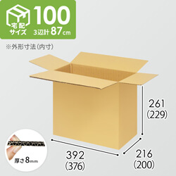 【宅配100サイズ】小箱ぴったり梱包用ダンボール箱［FBOX-01・6箱］（376×200×229mm）8mm W/F C5×C5