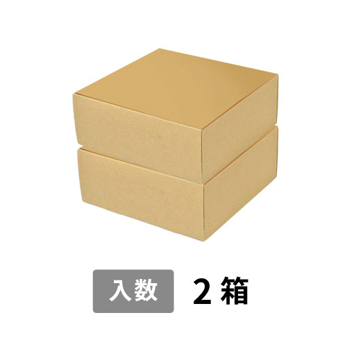 【宅配80サイズ】小箱ぴったり梱包用ダンボール箱［FBOX-02・2箱］（220×213×176mm）3mm B/F C5×C5