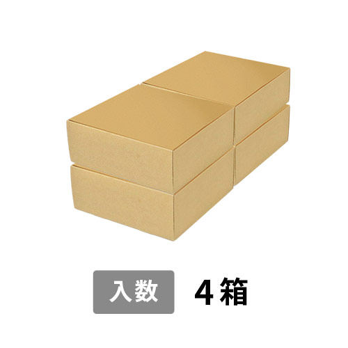 【宅配100サイズ】小箱ぴったり梱包用ダンボール箱［FBOX-02・4箱］（416×220×176mm）3mm B/F C5×C5