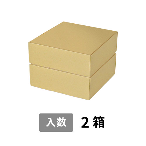 【宅配80サイズ】小箱ぴったり梱包用ダンボール箱［FBOX-03・2箱］（245×238×176mm）5mm A/F K5×K5