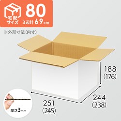 【宅配80サイズ】小箱ぴったり梱包用ダンボール箱［FBOX-03・2箱］（245×238×176mm）3mm B/F 白C5×C5