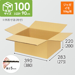【ジャガイモ10kg用】宅配100サイズ・ダンボール箱（380×273×200mm）