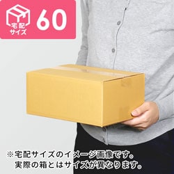 【きゅうり1~2kg用】宅配60サイズ・ダンボール箱（260×200×100mm）
