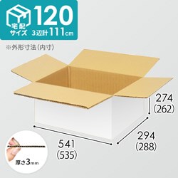 【宅配120サイズ】小箱ぴったり梱包用ダンボール箱［FBOX-04・12箱］（535×288×262mm）3mm B/F 白C5×C5