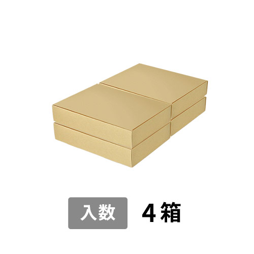 【宅配100サイズ】小箱ぴったり梱包用ダンボール箱［FBOX-05・4箱］（470×333×136mm）3mm B/F C5×C5