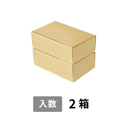 【宅配60サイズ】小箱ぴったり梱包用ダンボール箱［FBOX-06・2箱］（213×140×156mm）3mm B/F C5×C5