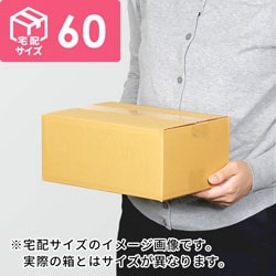 【宅配60サイズ】小箱ぴったり梱包用ダンボール箱［FBOX-06・2箱］（213×140×156mm）8mm W/F C5×C5