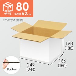 【宅配80サイズ】小箱ぴったり梱包用ダンボール箱［FBOX-07・2箱］（243×160×186mm）3mm B/F 白C5×C5